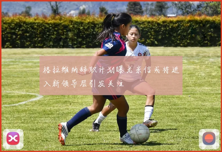 格拉维纳辞职计划曝光亲信或将进入新领导层引发关注