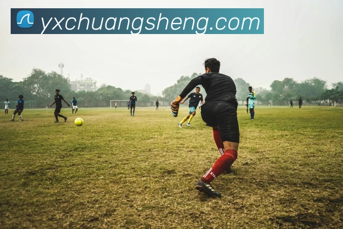 App Interface Preview