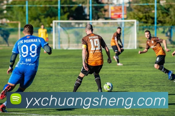 星空体育网址入口APP 封面图